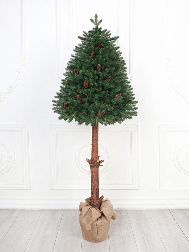 Ель «Скандинавская Премиум с шишками» 1,6 м
